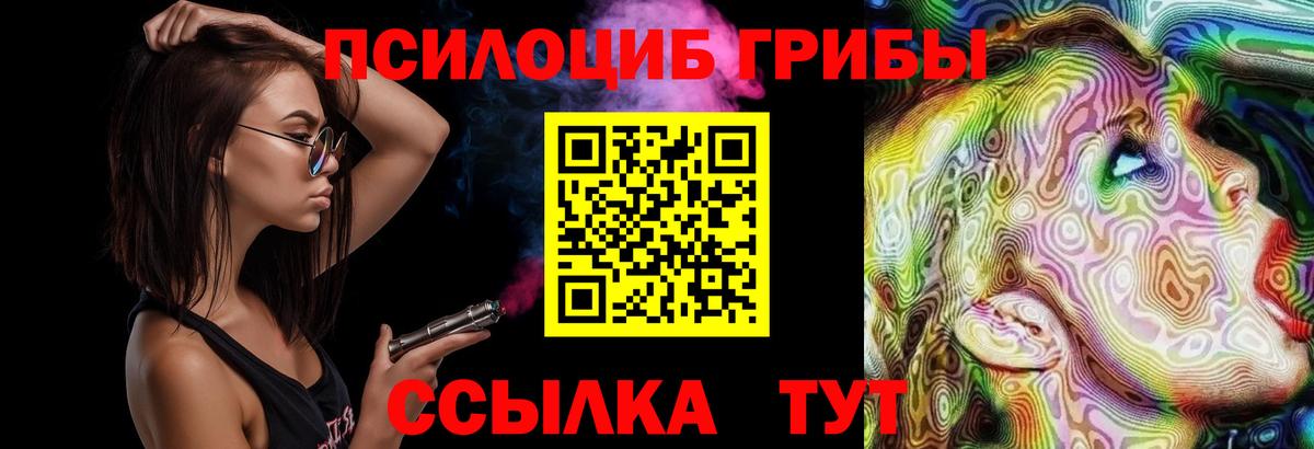 Псилоцибиновые грибы Psilocybine cubensis  Вход с VPN  Борзя 