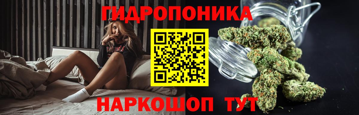 Каннабис Bruce Banner  Каннабис ГИДРОПОН  Борзя  Бошки марихуана VHQ  Вход с VPN 